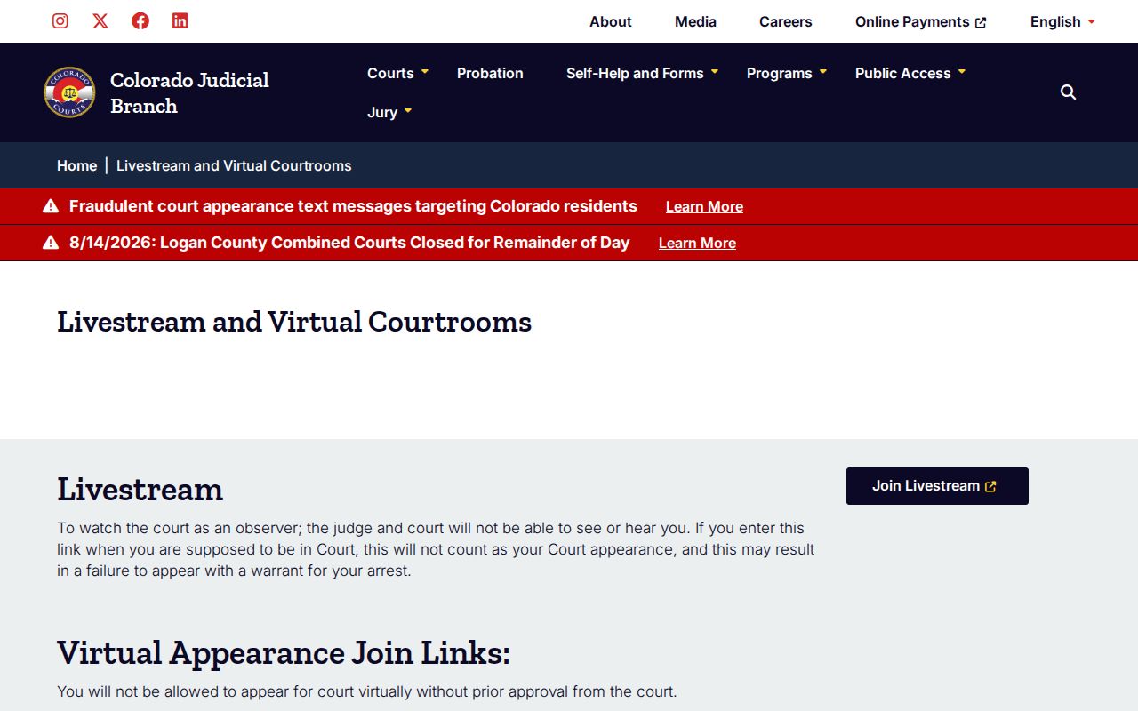Chaffee County court calendar virtual courtroom information